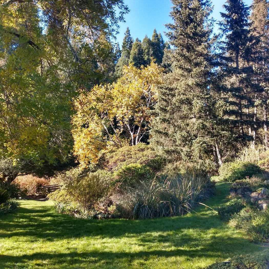 Regional Parks Botanic Garden 4